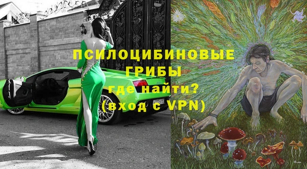 стафф Баксан