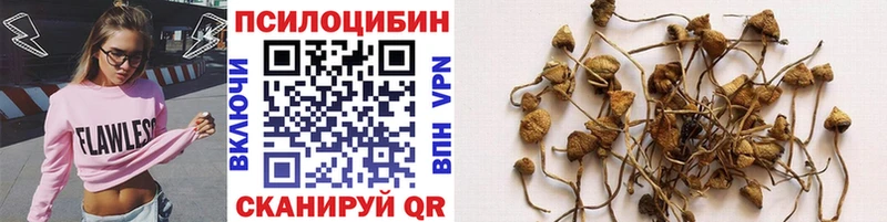 Галлюциногенные грибы мухоморы  Солигалич 
